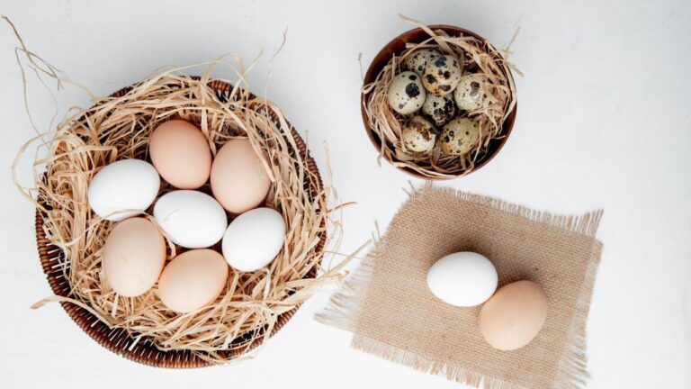 Kurve med æg på et hvidt bord, der symboliserer princippet "læg ikke alle æg i samme kurv" og vigtigheden af at opbygge en diversificeret portefølje